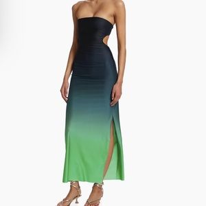 Baobab Strapless Ombré Maxi Dress